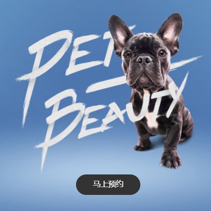 石柱宠物中心小程序开发